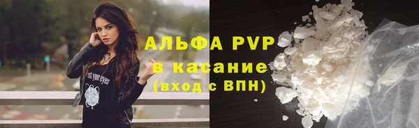 apvp Алзамай