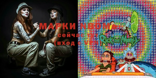 apvp Алзамай